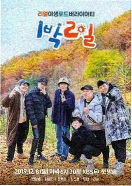 色调变化视觉分析配图